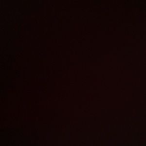 Meet your Posher, Talie